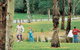 Westerfolds Park - thumb 0