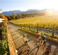 Boyntons Feathertop Winery - Accommodation Adelaide