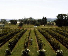 Rochford Wines - Accommodation Adelaide 0
