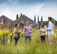 Willow Creek Vineyard - Accommodation Adelaide