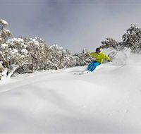 Mt Buller and Mt Stirling Alpine Resort - Accommodation Adelaide