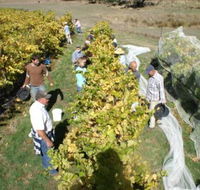 Blakes Estate Winery - Accommodation Adelaide