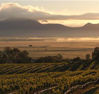 Montara Wines - Accommodation Adelaide