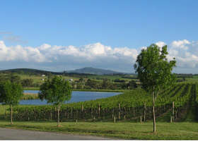 Yarrawood Estate - Accommodation Adelaide 0