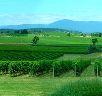 Acacia Ridge Vineyard - Accommodation Adelaide