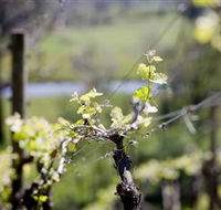 Adventure Estate - Accommodation Adelaide