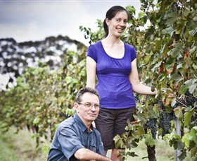 Anderson Winery - Accommodation Adelaide 0