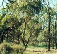 Leaghur State Park - Accommodation Adelaide
