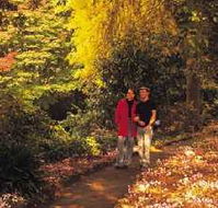 George Tindale Memorial Gardens - Accommodation Adelaide
