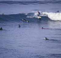 Point Addis Marine National Park - Accommodation Adelaide