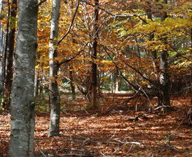 RJ Hamer Arboretum - Accommodation Adelaide 0
