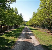 Waybourne Winery - Accommodation Adelaide