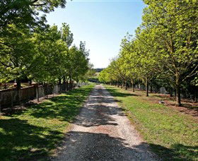 Waybourne Winery - Accommodation Adelaide 0