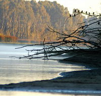 Barmah National Park - Accommodation Adelaide