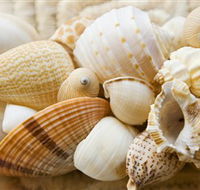 Anglesea Beach Club - Accommodation Adelaide