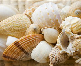 Anglesea Beach Club - Accommodation Adelaide 0