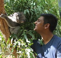 Healesville Sanctuary - Accommodation Adelaide