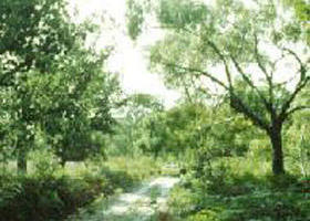 Rosedale VIC Accommodation Adelaide