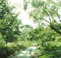 Holey Plains State Park - Accommodation Adelaide