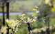 Eldridge Estate Of Red Hill - thumb 0