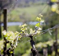 Eldridge Estate of Red Hill - Accommodation Adelaide