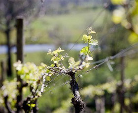 Eldridge Estate Of Red Hill - Accommodation Adelaide 0