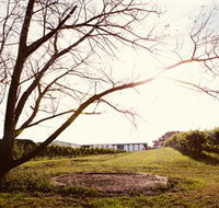 Scotchmans Hill - Accommodation Adelaide