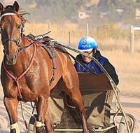 Ballarat  District Trotting Club - Accommodation Adelaide