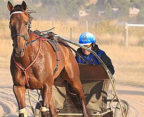 Ballarat & District Trotting Club - Accommodation Adelaide 0