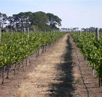 Mount Beckworth Wines - Accommodation Adelaide