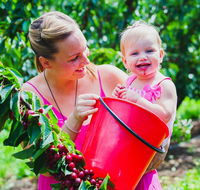 Cherryhill Orchards - Accommodation Adelaide