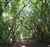 Eucalypt Trail - Accommodation Adelaide