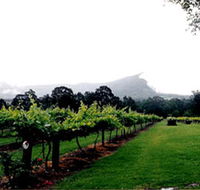 Cambewarra Estate Wines - Accommodation Adelaide