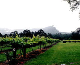 Cambewarra Estate Wines - Accommodation Adelaide 0