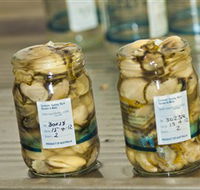 Broadwater Oysters - Accommodation Adelaide