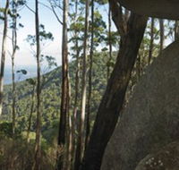 Gulaga National Park - Accommodation Adelaide