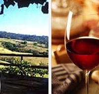 Jasper Valley Wines and Vines Cafe - Accommodation Adelaide