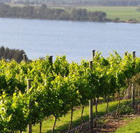 Two Figs Winery - Accommodation Adelaide
