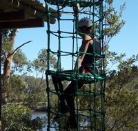 Trees Adventure Shoalhaven - Accommodation Adelaide