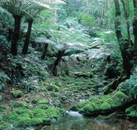 Deua National Park - Accommodation Adelaide