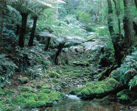 Deua National Park - Accommodation Adelaide 0