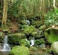Budderoo National Park - Accommodation Adelaide