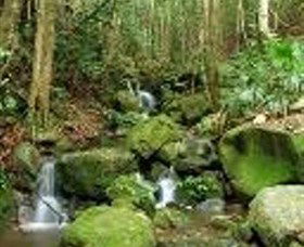 Budderoo National Park - Accommodation Adelaide 0