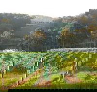 Tilba Valley Wines - Accommodation Adelaide