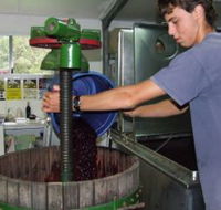 Fern Gully Winery - Accommodation Adelaide