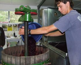 Fern Gully Winery - Accommodation Adelaide 0