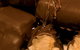 The Treat Factory - thumb 0