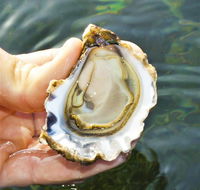 The Oyster Pot - Accommodation Adelaide