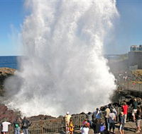 Kiama Blowhole - Accommodation Adelaide