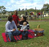 Blackbutt Forest Reserve - Accommodation Adelaide